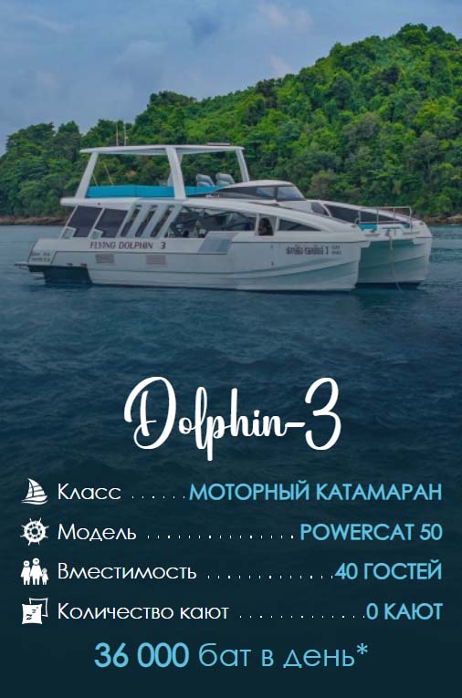 44. Dolphin-3